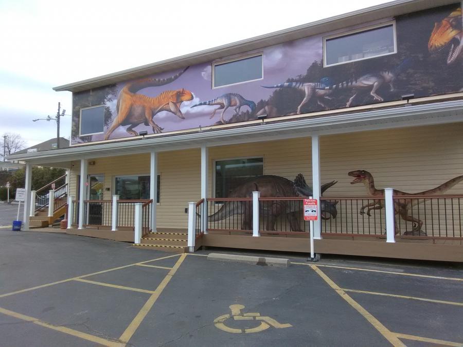 Prehistoric Fossils Explore Branson